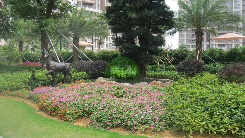 花园别墅设计装修全流程揭秘：从规划到验收