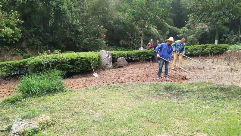 专业足球场草坪安装：关键步骤与注意事项**