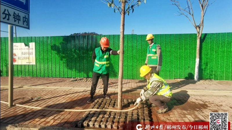 园林绿化资质取消后的应对策略**