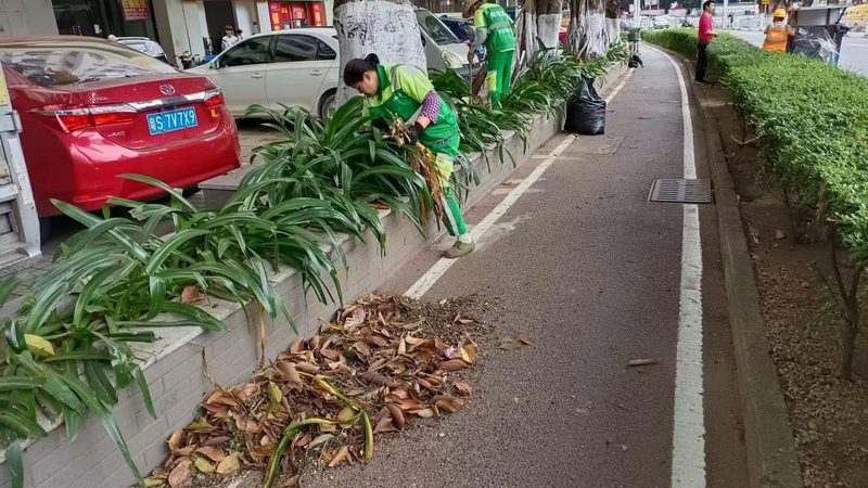 边坡绿化验收规范：关键要点与执行标准**