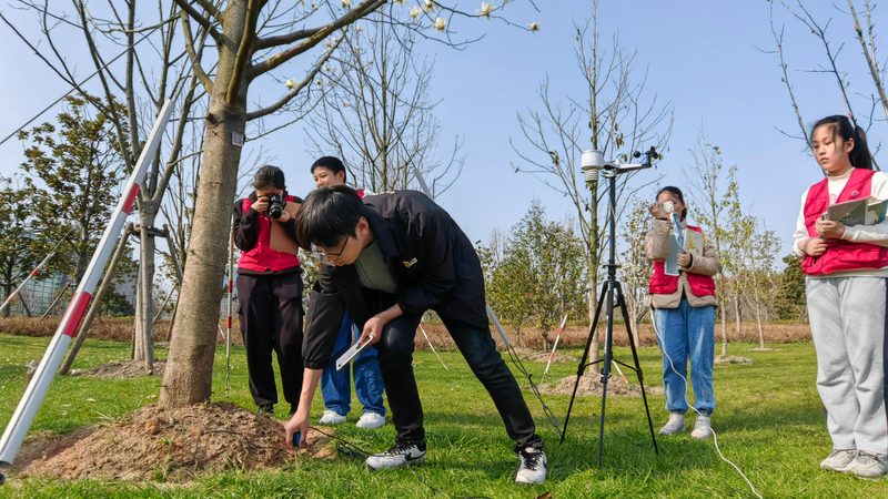 轻型屋顶绿化种植基质怎么选？关键在于这些因素